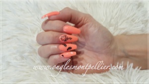 corail fluo 2 P